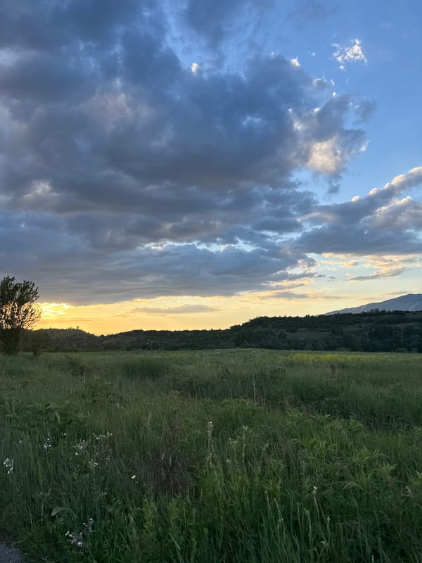 Evening snapshots capture flowers, landscapes, cat during 16-minute span