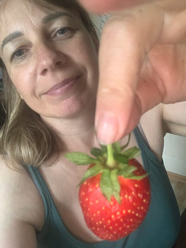 Domestic moments with strawberries and collectibles in Belarus