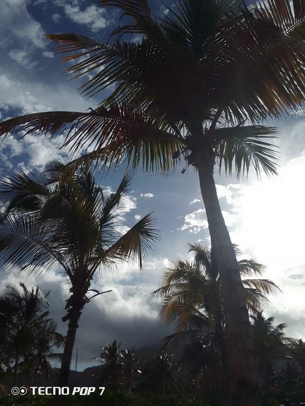 Coastal scenes documented in Pedro González, Venezuela beaches