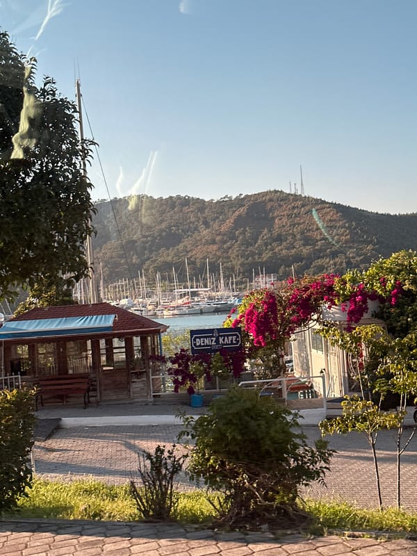 Clear afternoon brings busy marina activity to Fethiye coastline