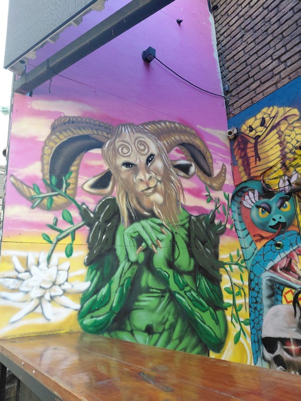 Street art murals documented in Mendoza, Argentina