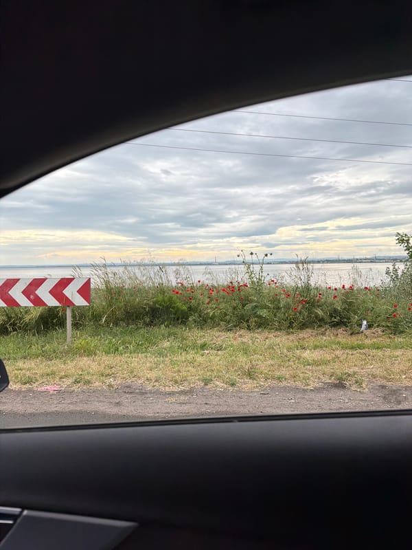 Driver documents roadway journey near Burgas waterway at 50km/h