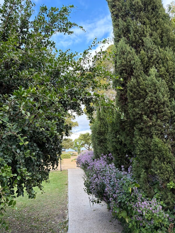 Morning scenes captured in Overstrand Nu featuring landscapes and statue
