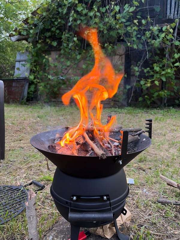 Outdoor grilling session documented in Bulgarian countryside
