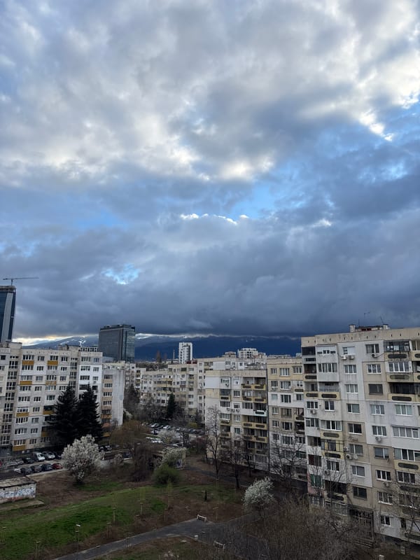 Sofia residential buildings observed with green space foreground