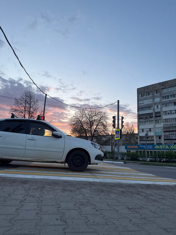 Evening urban walk captured through street scenes and nature moments