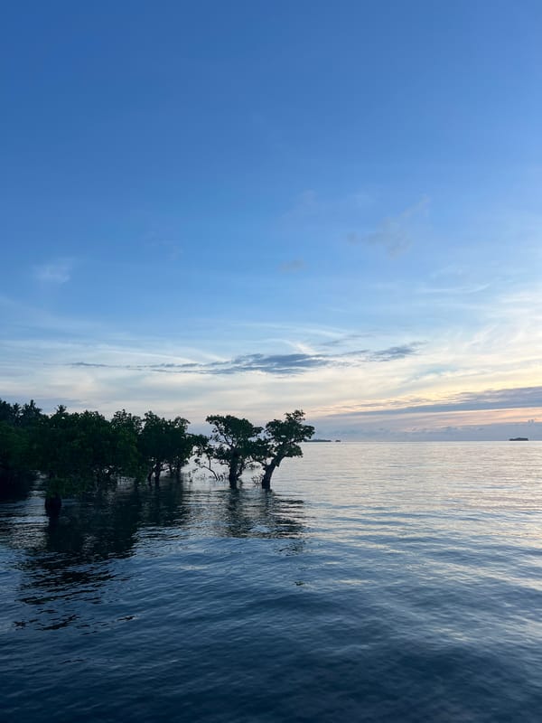 Dusk settles over General Luna's coastline