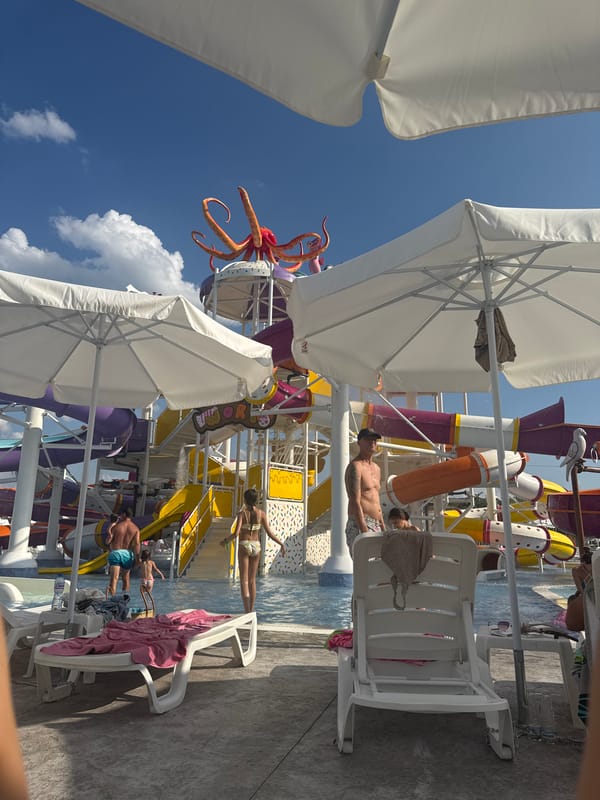 Sunny afternoon at a Bulgarian water park, selfies and slides