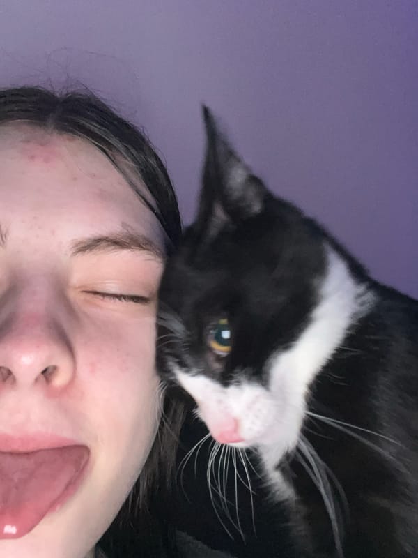 Person poses with cat on forehead in Saint Petersburg