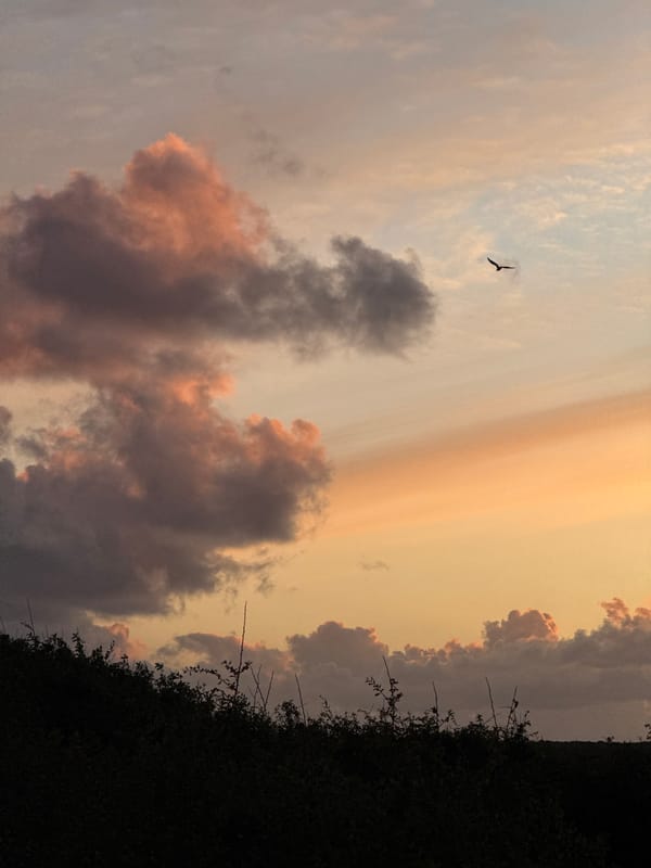 Dramatic sunset captivates witnesses across Plévenon, France coastline