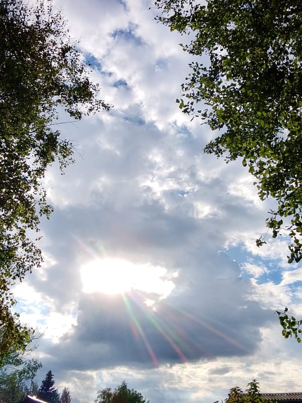 Sunbeams pierce clouds above Russian forest canopy