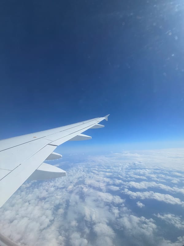 Airplane wing photographed during flight over Bad Berleburg, Germany