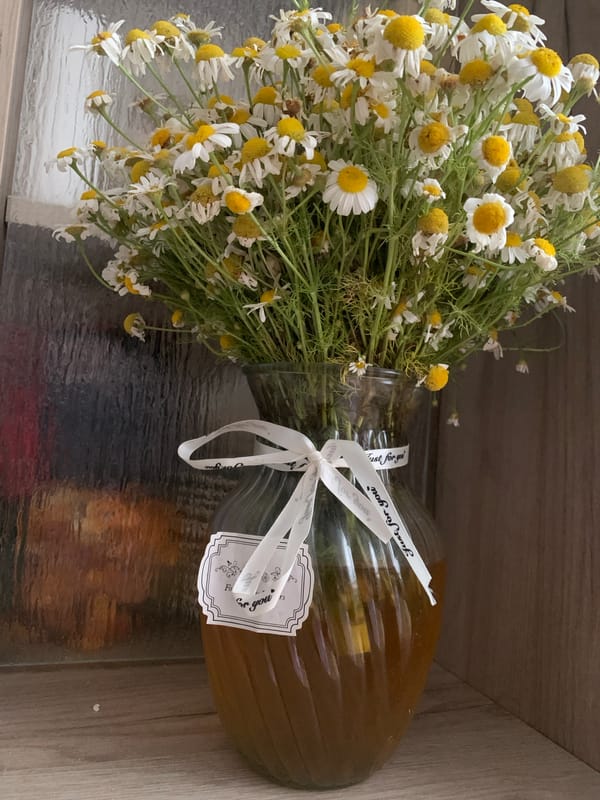 Chamomile bouquet in a ribbon-tied vase, Dondușeni