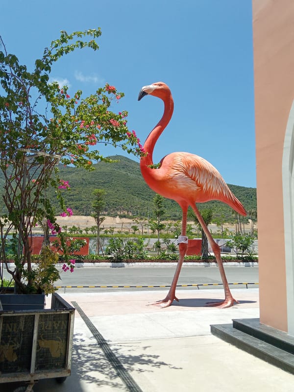 Tourist captures morning coastal attractions in Nha Trang