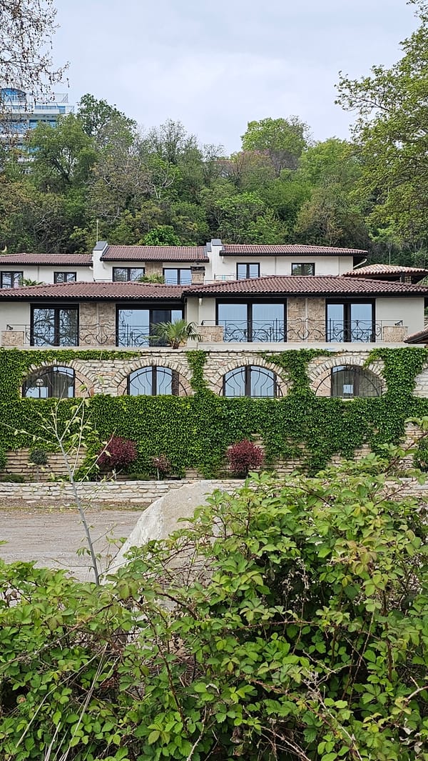 Cats spotted relaxing along Balchik coastline during afternoon hours