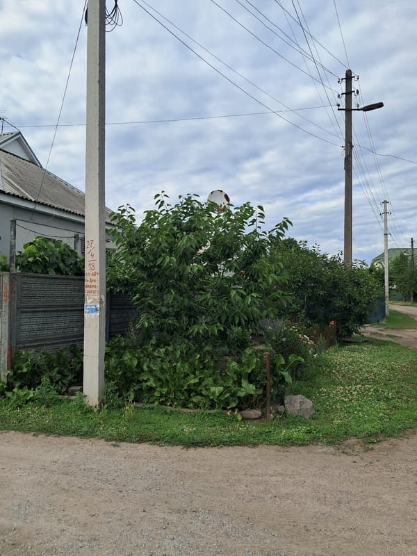Kremenchuk backstreets and gardens on a grey summer afternoon