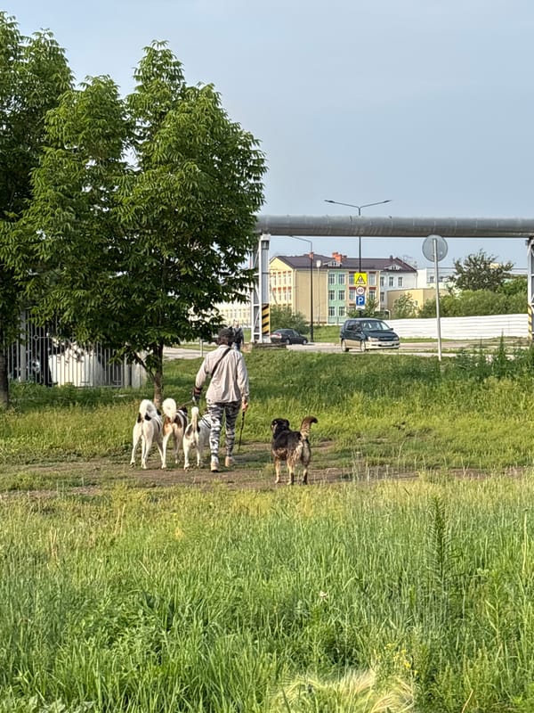 Street-level snapshots from Blagoveshchensk, Russia