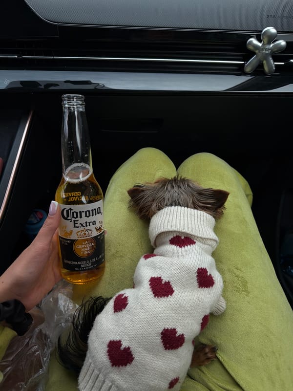 Dog in heart sweater photographed with beer in Krasnoyarsk