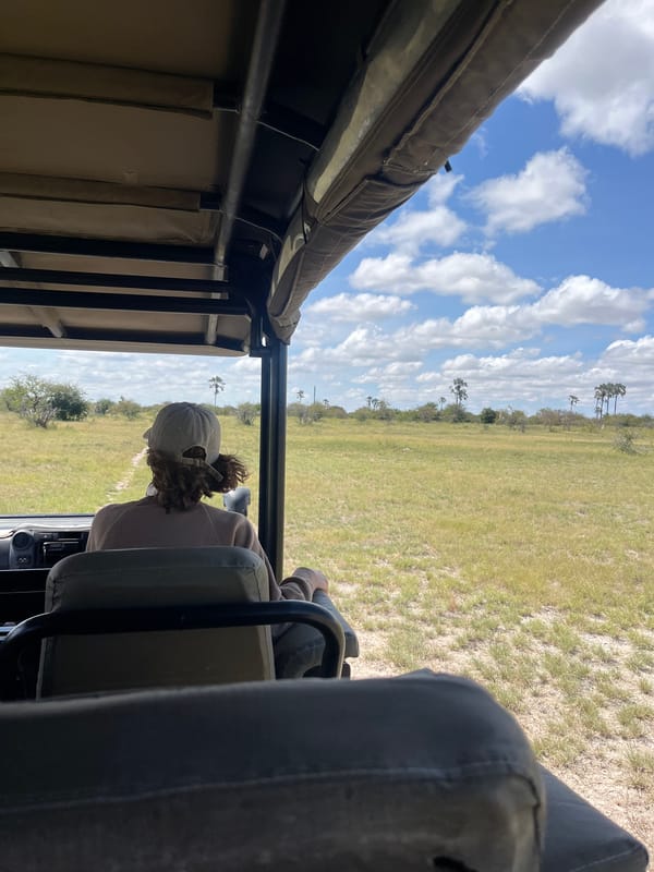 Safari tourists photographed in open vehicle near Gucta, Botswana