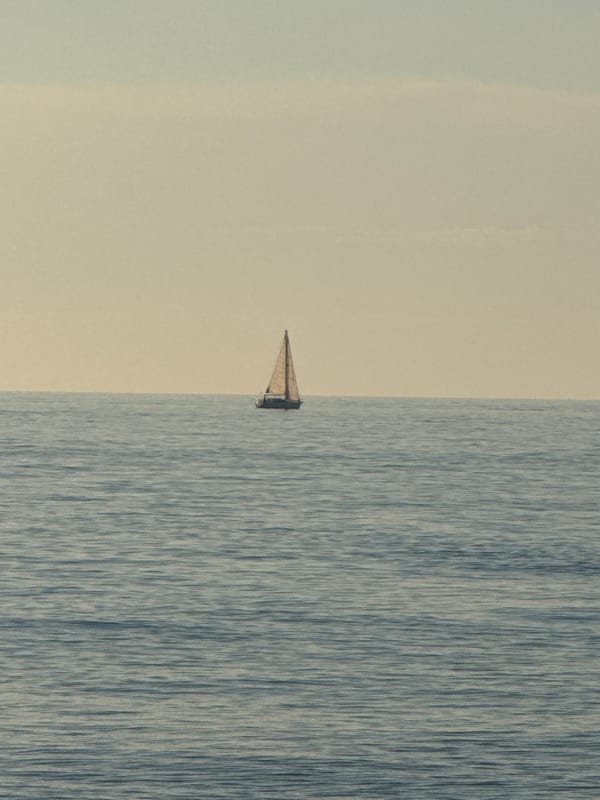 Batumi coastal and urban scenes observed simultaneously