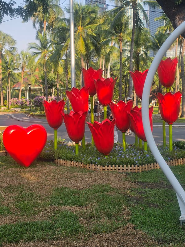 Morning park scenes documented across Bangkok urban green space
