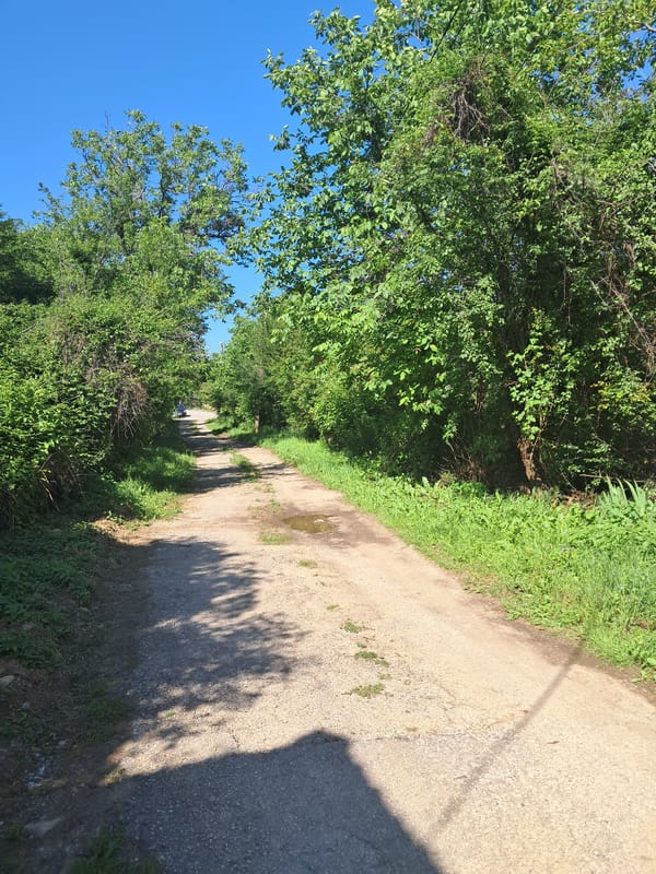 Rural documentation walk captured in Bulgarian village under clear skies