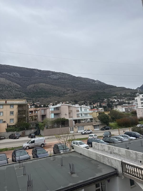 Morning laptop session with dog in Montenegro mountains