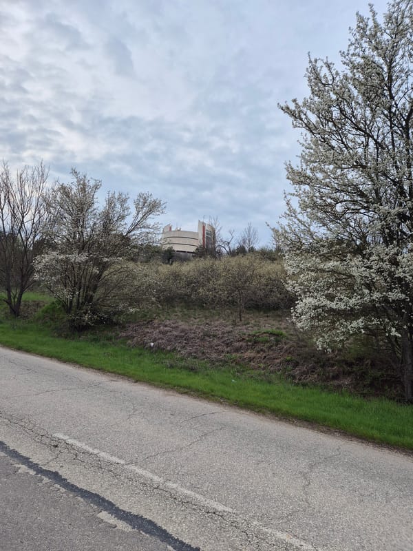 Spring blooms and daily life captured in Pleven Bulgaria