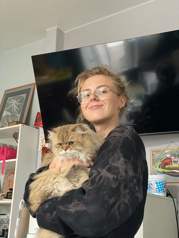 Quiet domestic moments captured across Sestroretsk household