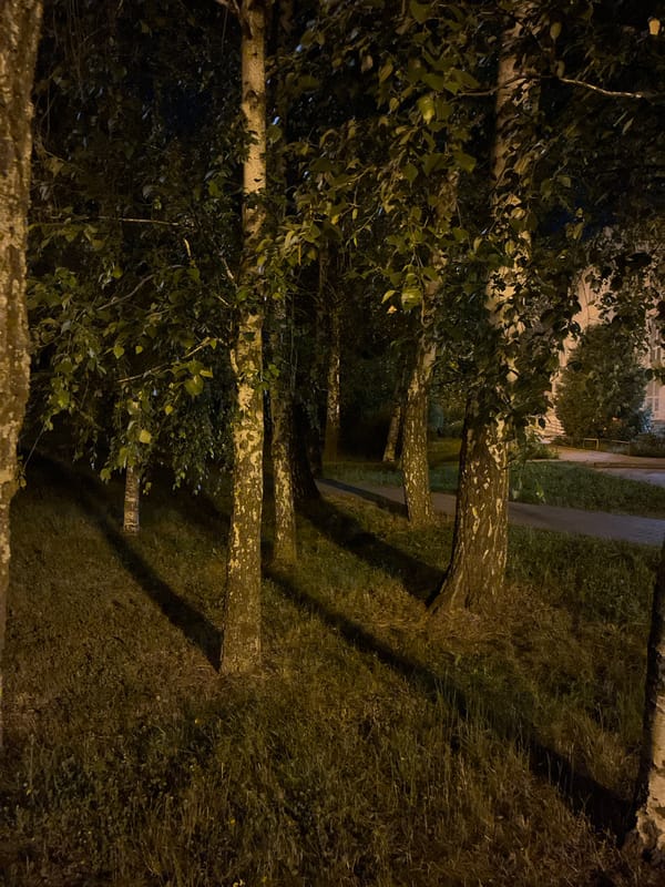 Summer night settling over a Poltava park and streets
