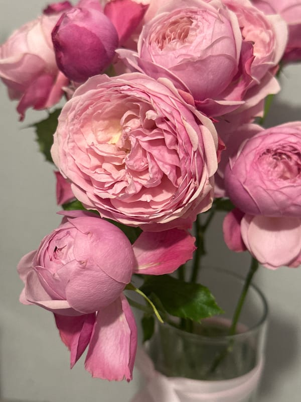 Couple enjoys spa day with facial masks in Kazan