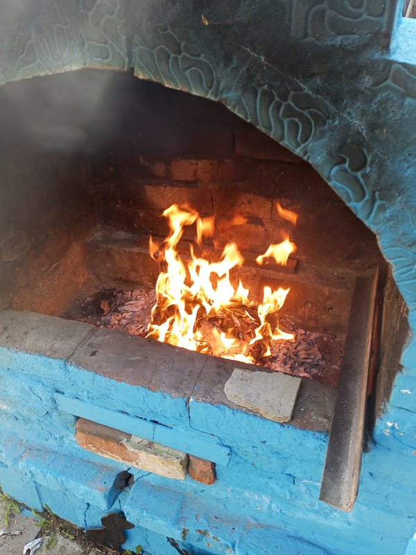 Outdoor cooking session documented across morning hours