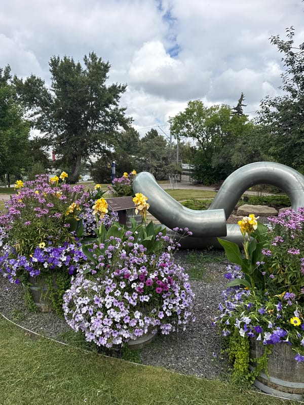 Downtown Calgary: Bow River views and cultural landmarks