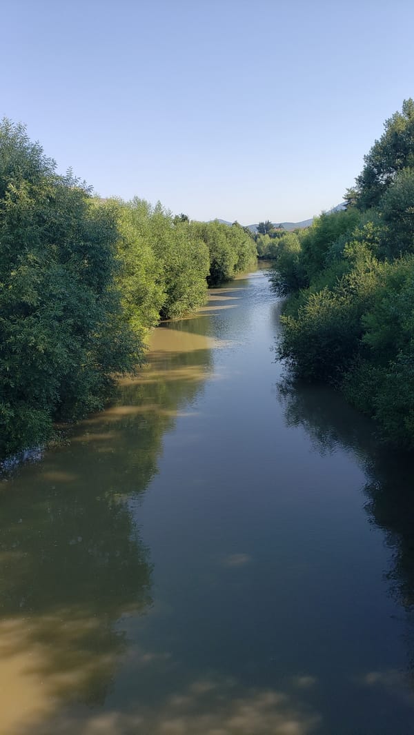Quiet summer morning in a Prešov park, people and routines