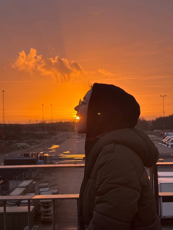 Copenhagen residents gather to witness dramatic sunset across city