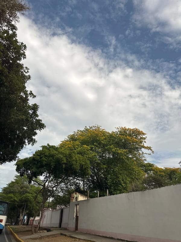 Venezuelan daily life documented across Santa Ana and Tacarigua