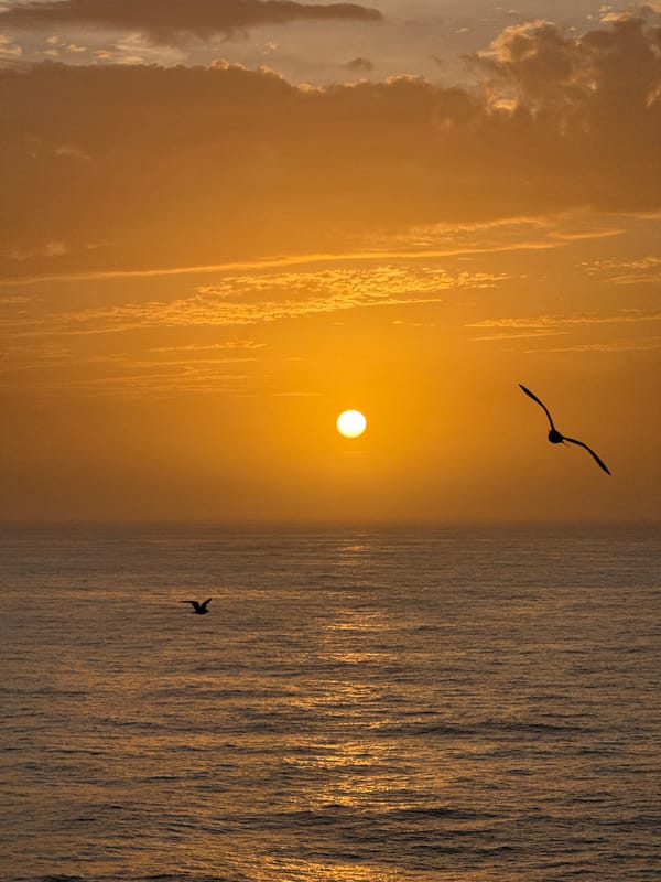 Gulf sunset captured by witnesses over three-minute span