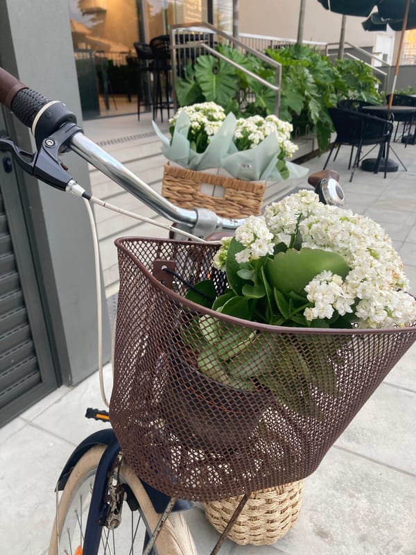 Cyclist carries flower baskets near Florianópolis restaurant