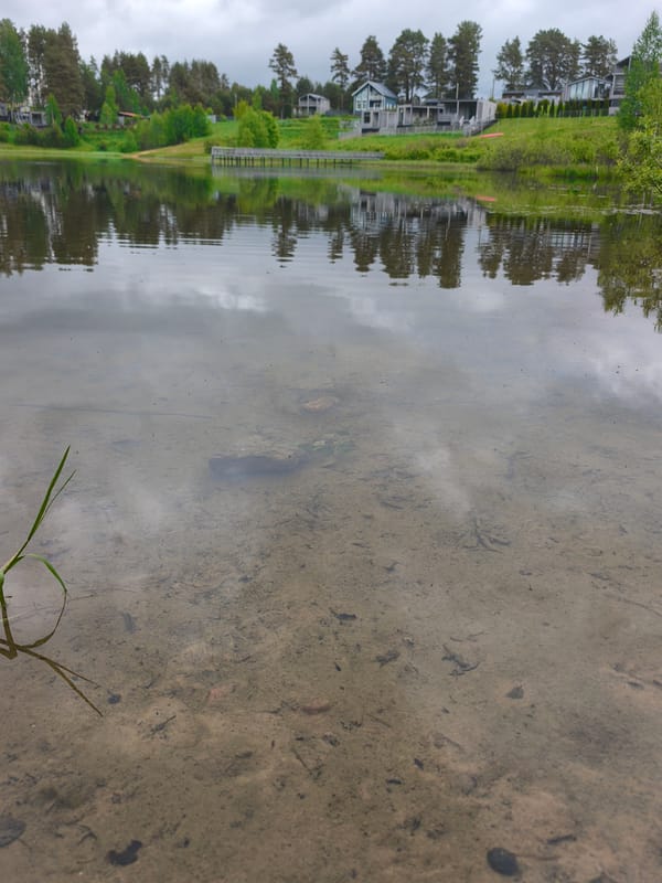 Spring lakeside observations documented in Mars, Russia over eight minutes