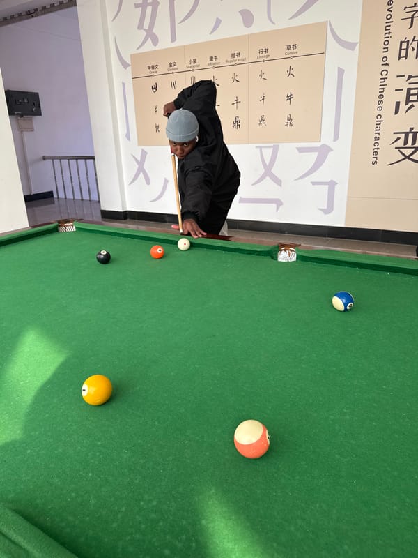 Commercial street activity recorded in Jin Zhou Shi, China