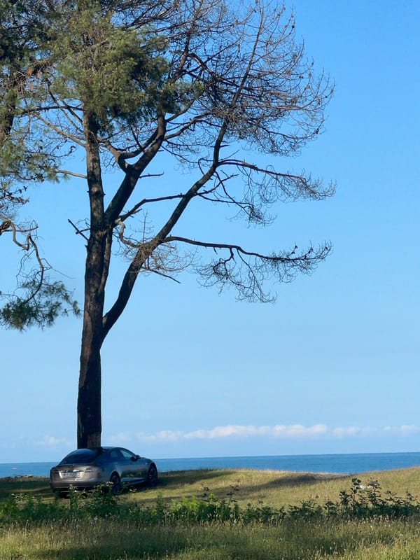 Tesla parked near pine trees on Georgia's Black Sea coast