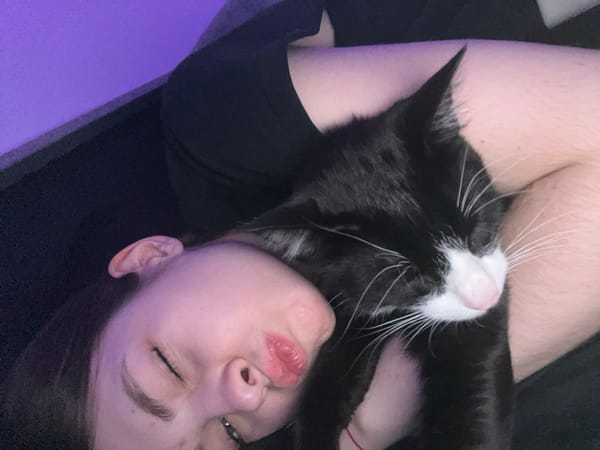 Late-night bonding session with tuxedo cat captured in Saint Petersburg