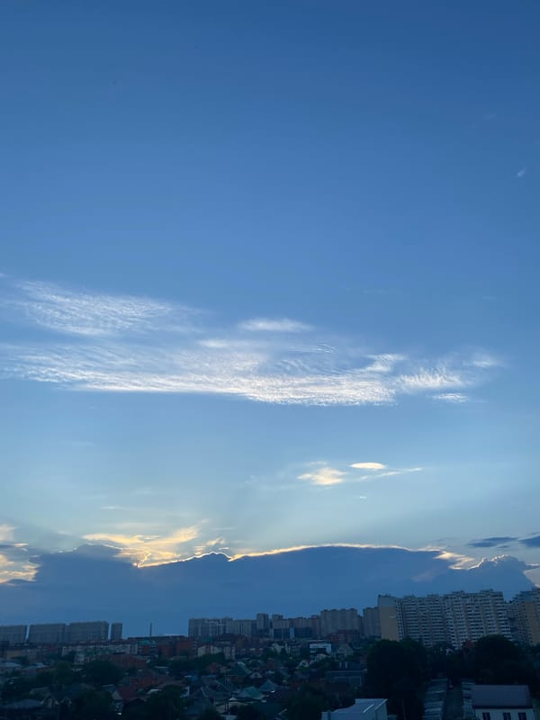 Krasnodar at dusk, plus two budgies in cages