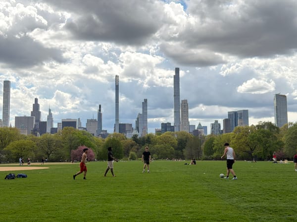 Central Park lawn photographed against Manhattan skyline backdrop