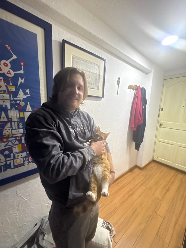 Person photographed with cat, later in elevator in Mexico City