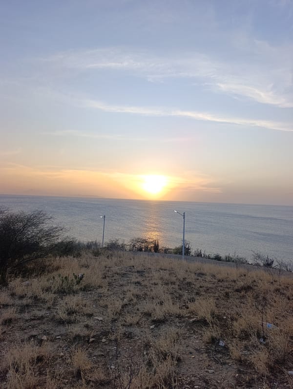 Ocean sunset captured with lampposts and vegetation visible