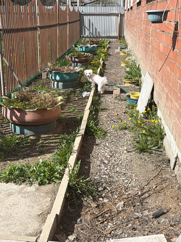 Residential walkway documented in Зуй, Russia backyard area