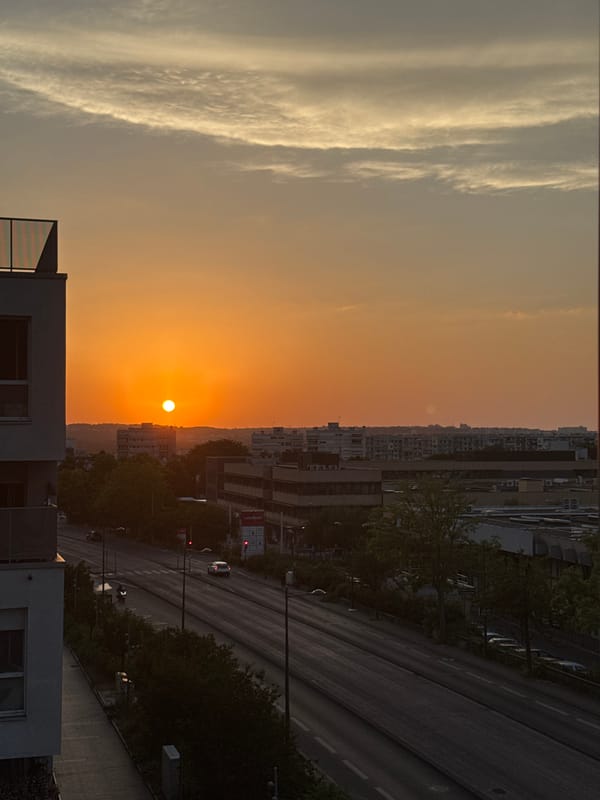 City sunset shot from every angle, golden hour in full effect