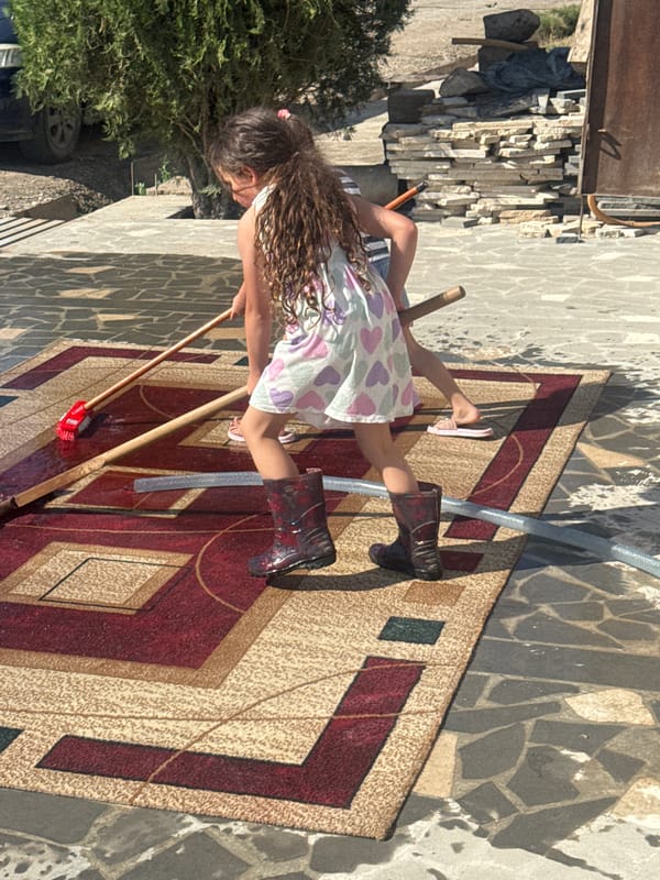 Two girls wash outdoor rug on sunny afternoon