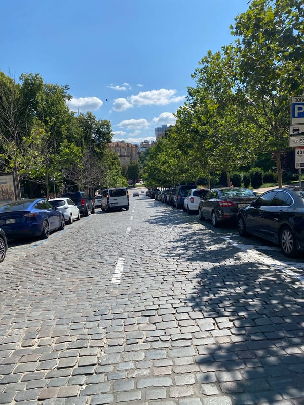 Sunny stroll through a classic city neighborhood with cafes and parks